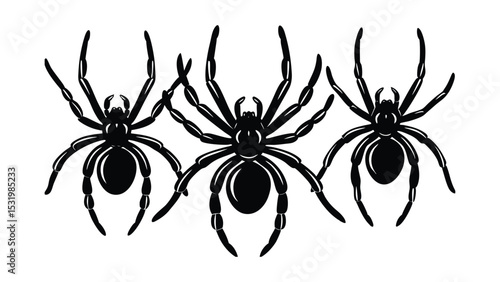 Detailed realistic spider illustration for design projects