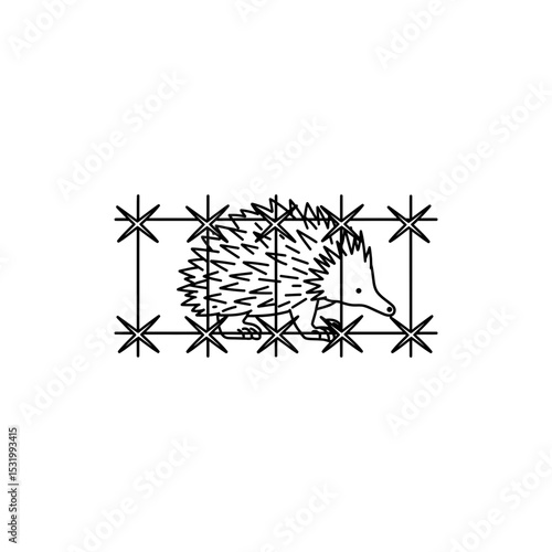 Echidna restricted behind spiked wire cage suggesting harsh confinement