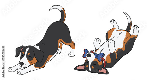 Adorable Greater Swiss Mountain Dog Pups Playtime The Pure Joy of Canine Companionship