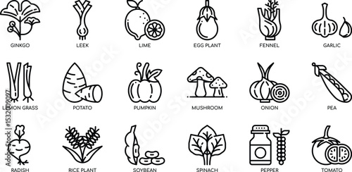 Collection of Line Art Vegetable and Fruit Illustrations 467.eps  Perfect for Culinary Designs, Websites, and More!