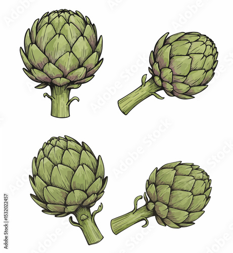 Fresh Green Artichoke Vegetables Hand-Drawn Clipart Set