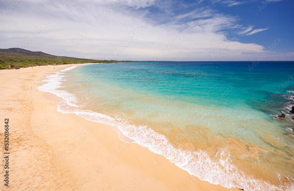 Fototapeta premium Beautiful Maui landscape in Hawaii