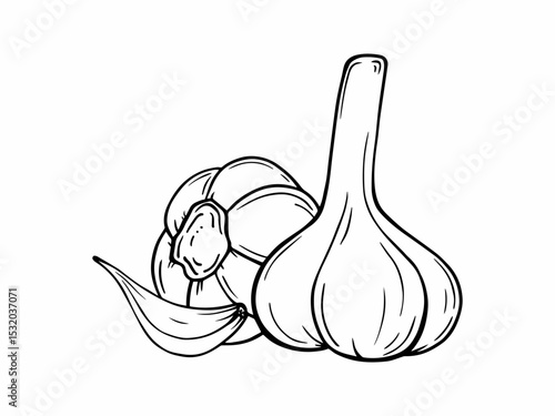 Hand-drawn garlic bulb. Vector vegetable sketch. Suitable for organic product design, culinary illustrations, and eco-friendly packaging.