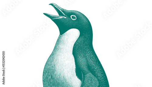 Penguin vector