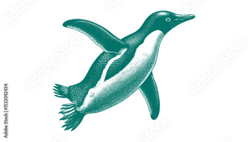 Penguin vector