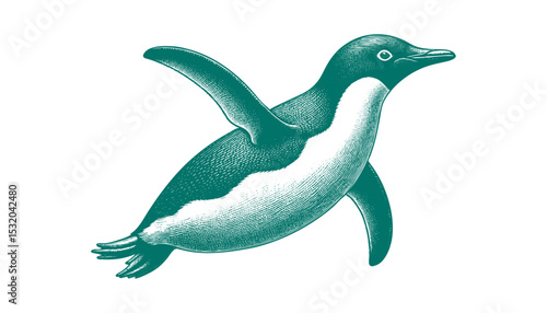 Penguin vector