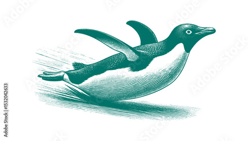 Penguin vector