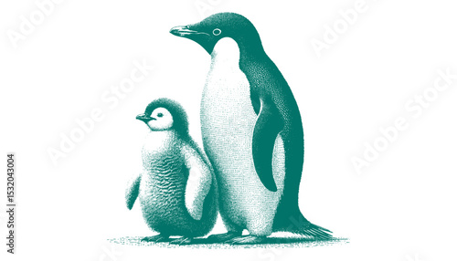 Penguin vector