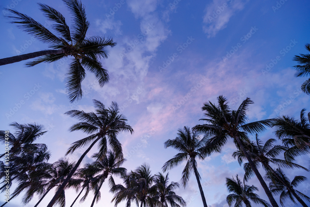 Obraz premium Silhouetted palm trees of Miami Beach stand tall against a vibrant sunset sky