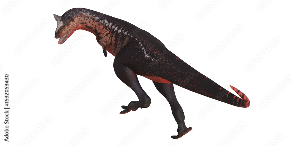Fototapeta premium Dinosaur rendering of Carnotaurus on white background