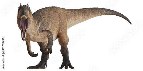 Fototapeta Naklejka Na Ścianę i Meble -  Roaring dinosaur with sharp teeth on a white background.