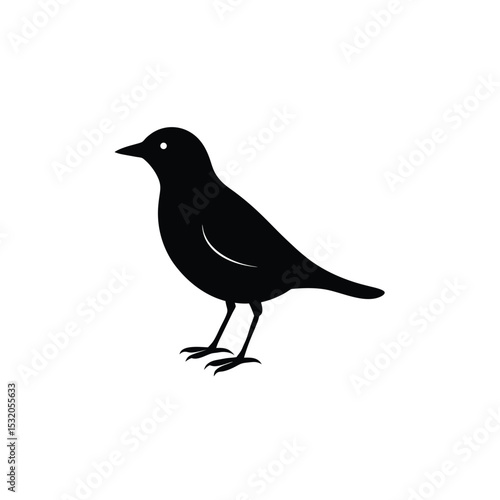 bird on a branch