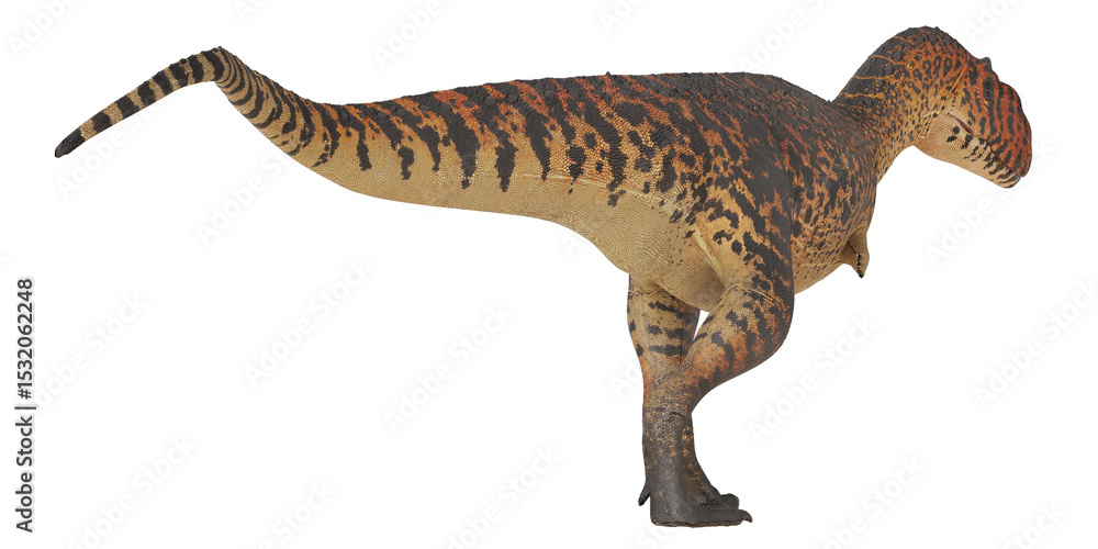 Obraz premium Dinosaur model showcasing vibrant pattern and texture