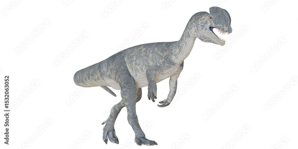 Fototapeta premium Realistic dinosaur model on white background