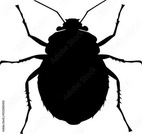 Bed Bug Black Silhouette Vector Insect