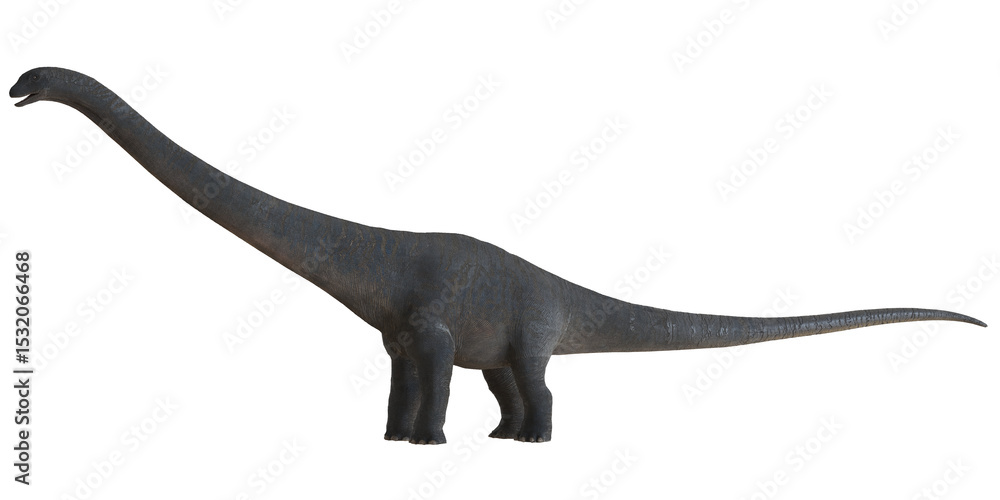 Obraz premium Realistic depiction of a long-necked dinosaur.