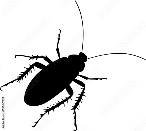 Cockroach Bug Black Silhouette Vector Design