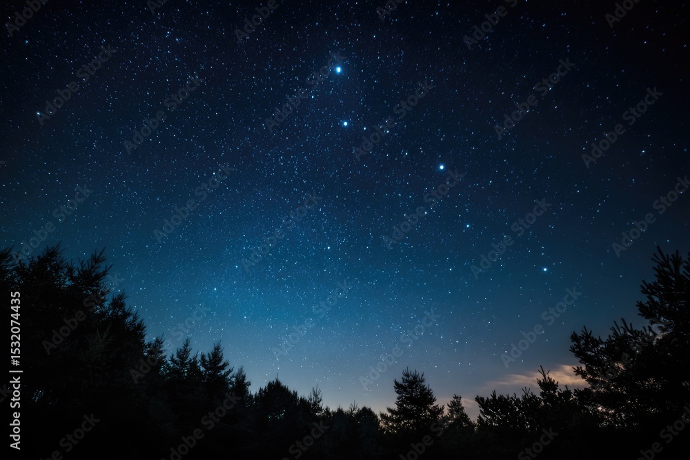 Night sky full of stars above dark forest Night sky full of stars above dark forest