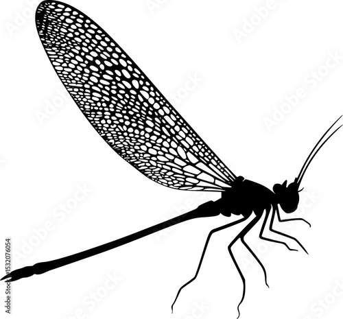 Mayfly Insect Black Silhouette Vector Graphic