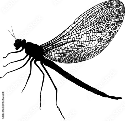 Mayfly Insect Black Silhouette Vector Graphic