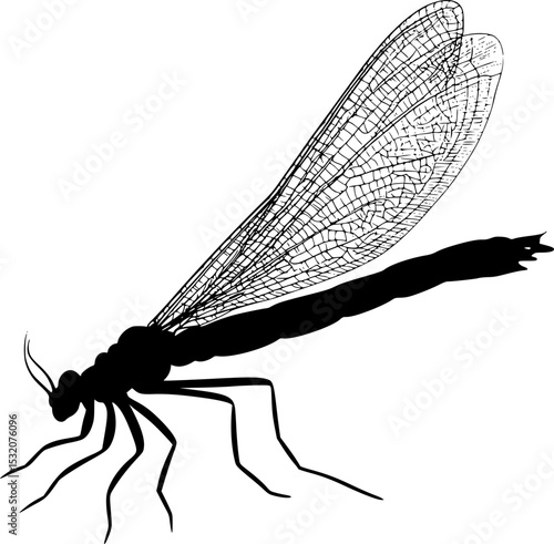Mayfly Insect Black Silhouette Vector Graphic