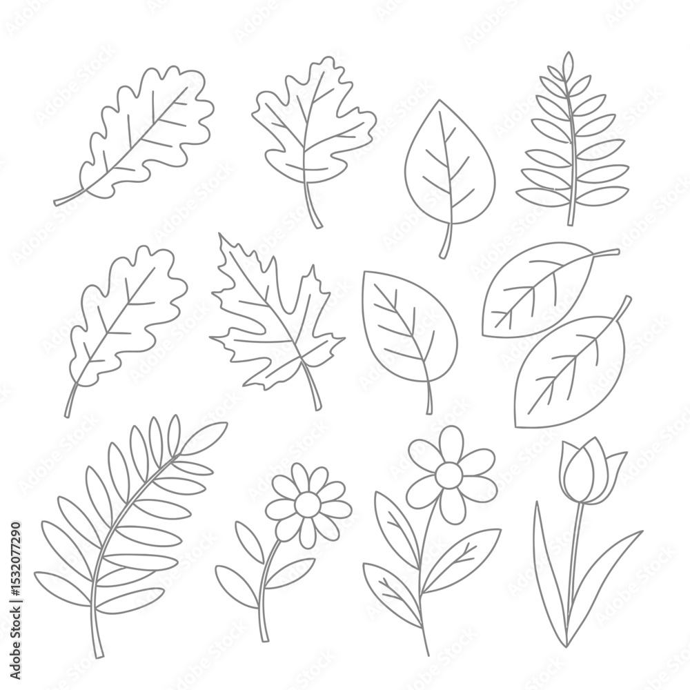 Flowers line icons set. Blooming plants - rose, tulip, daisy bouquet, sunflower, lotus, chamomile, dandelion, chrysanthemum, lily vector illustration. Outline signs for floral shop. Editable Stroke Flowers line icons set. Blooming plants - rose, tulip, daisy bouquet, sunflower, lotus, chamomile, dandelion, chrysanthemum, lily vector illustration. Outline signs for floral shop. Editable Stroke