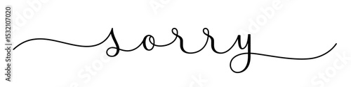 SORRY black vector brush calligraphy banner with swashes on white background