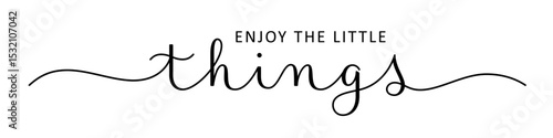 ENJOY THE LITTLE THINGS black vector brush calligraphy banner with swashes on white background