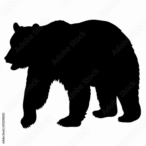 Silhouette of a Walking Bear Isolated on White Background
