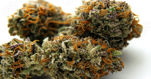 Close-up of cannabis flower buds