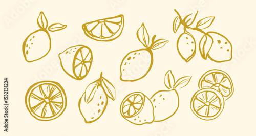 Lemon doodle fruit hand drawn vector illustrations set. Citrus, orange wedge, tropical lime with crayon texture.