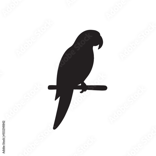Silhouette of Parrot Sitting Calmly on a Wooden Branch
