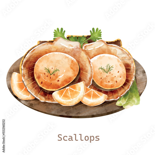 
Delicious grilled scallops