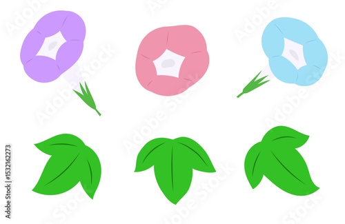 あさがおのイラスト