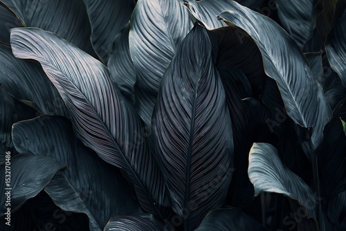 Decorative black tropical foliage texture design