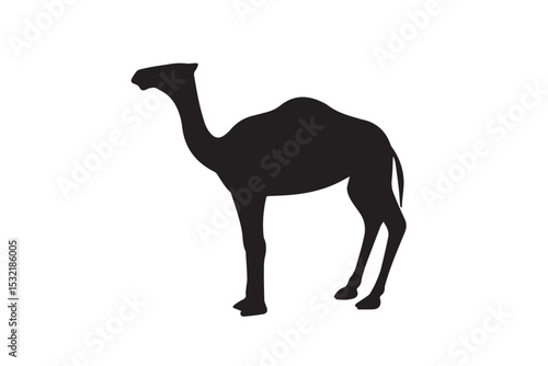 Black vector illustration of a standing camel in a clean and bold silhouette style. Perfect for desert-themed designs, travel and tourism graphics, wildlife education, Middle Eastern culture, safari