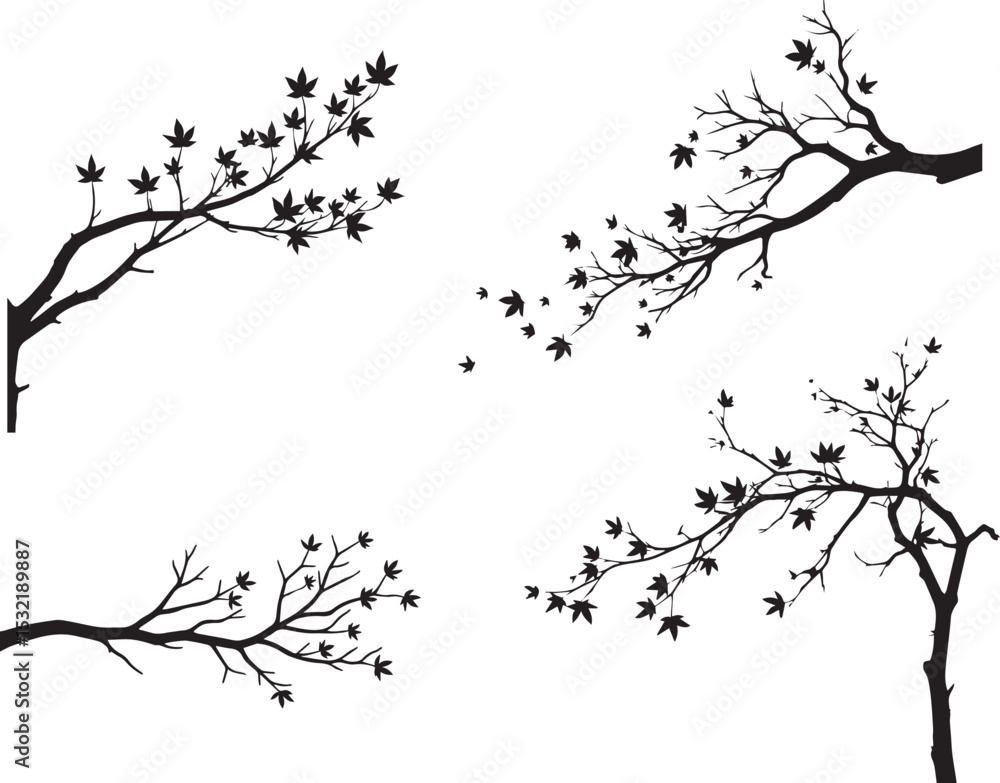 Fototapeta premium Tree Branch with Leaves Blowing Off