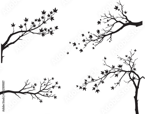 Tree Branch with Leaves Blowing Off