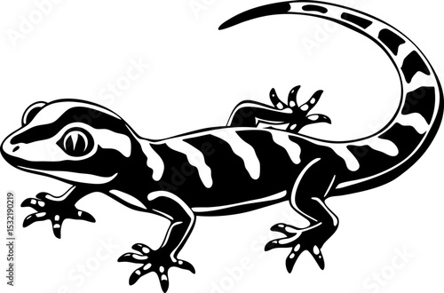 lizard on a white background. A gecko with sticky feet, isolated on a white background
