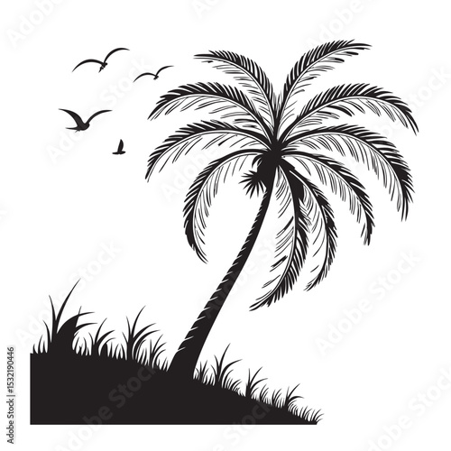 palm tree silhouette