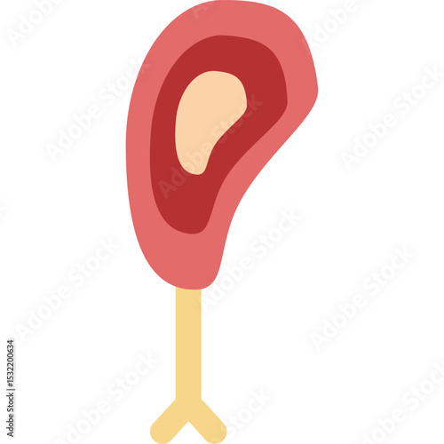 raw beef shank flat vector illustration