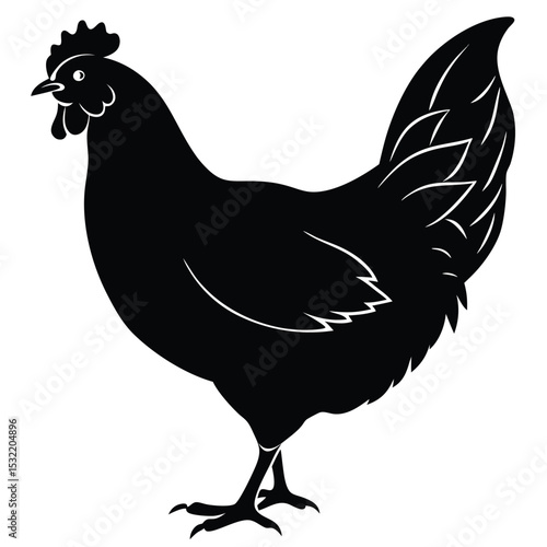 A sleek black hen stands isolated in profile, rendered with clean lines