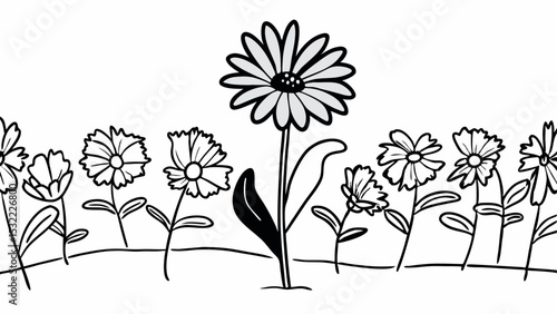 Vintage Black and White vibrant crown daisy stands out against line of flowers, showcasing beauty and uniqueness