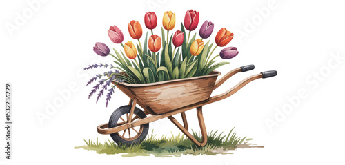 Colorful Tulips and Lavender in a Rustic Wheelbarrow