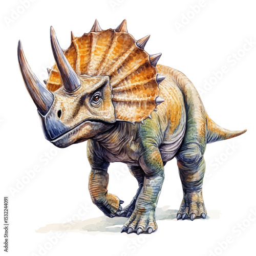 Triceratops, watercolor drawing vector, isolated on a white background.
