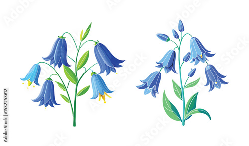 Two bluebell flower stems illustration