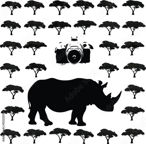 Silhouette of a rhino wildlife photography with acacia trees and camera