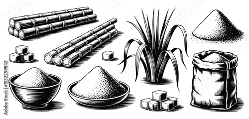 Sugarcane Plant and Refined Sugar Collection Illustration