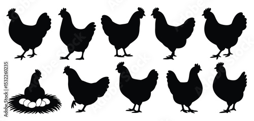 Ten Chicken Silhouettes with Hen and Eggs in Nest