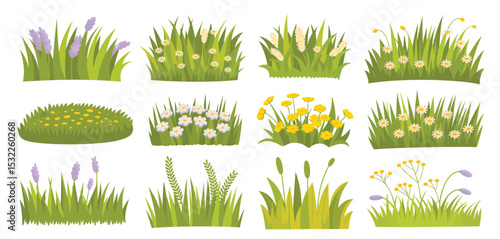 Twelve Colorful Grass Patches with Various Flowers